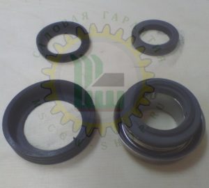 Сальник помпы Fubag PG 950T 039090100300