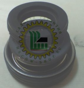 Сальник помпы Fubag PG 950T 039090100300