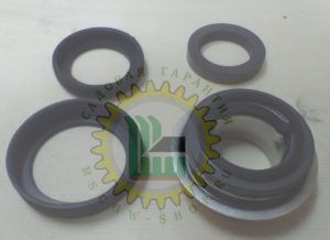 Сальник помпы Champion GTP81 / GTP80 6603500030001