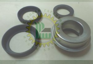 Сальник помпы Champion GTP81 / GTP80 6603500030001
