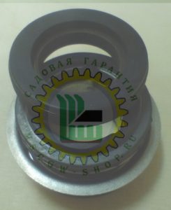 Сальник помпы Champion GTP81 / GTP80 6603500030001
