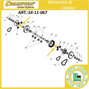 Шестерня солнечная планетарного редуктора [STT 1170E/1171E] CHAMPION SX-11-067