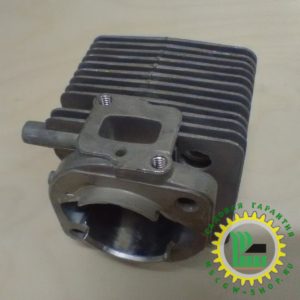 ЦПГ для Champion GB226 / GBV326S 70080120196