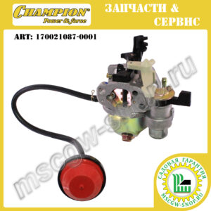 Карбюратор [ST 553/556/655/656/661/662E/762] CHAMPION 170021087-0001