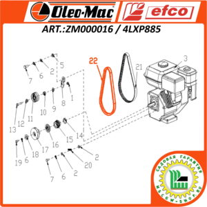 Ремень приводной клиновой 4LXP885 Gates Truflex G OLEO-MAC / EFCO ZM000015