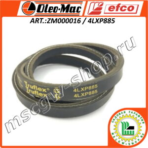 Ремень приводной клиновой 4LXP885 Gates Truflex G OLEO-MAC / EFCO ZM000015
