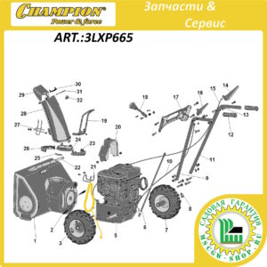 Ремень привода редуктора шнеков [ST 553/661] CHAMPION 3LXP665