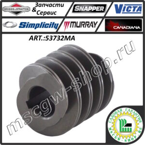 Шестерня привода редуктора шнеков 1.75"х1.56" BRIGGS&STRATTON 53732MA